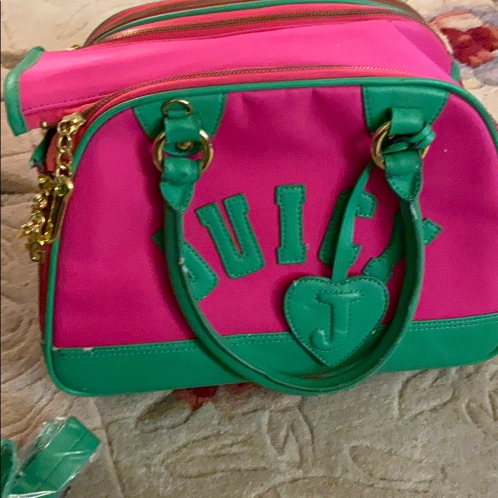 Bag juicy couture for dog